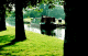 Tree Lined Canal 